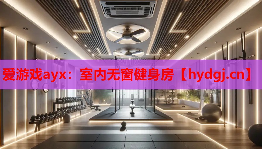 爱游戏ayx：室内无窗健身房