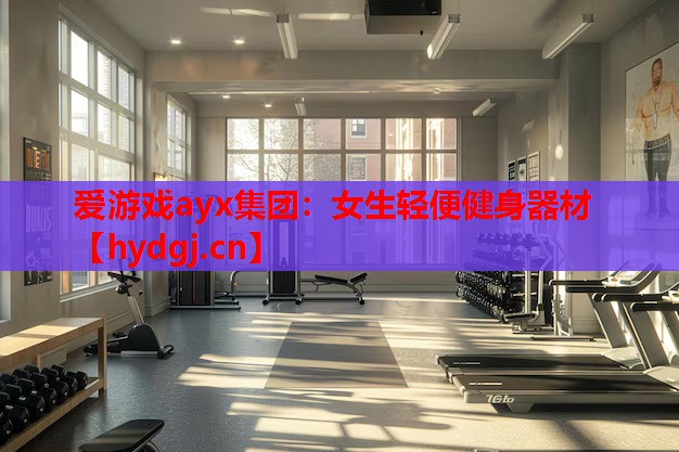 爱游戏ayx集团：女生轻便健身器材