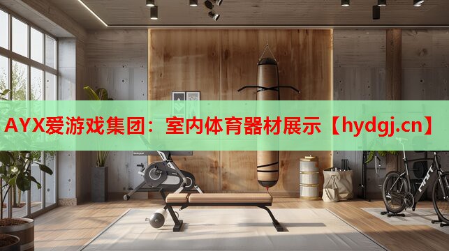 AYX爱游戏集团：室内体育器材展示