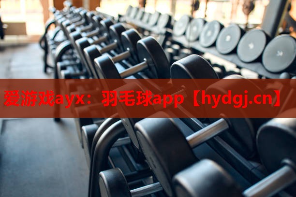 爱游戏ayx：羽毛球app