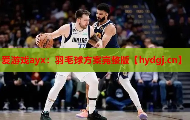 爱游戏ayx：羽毛球方案完整版