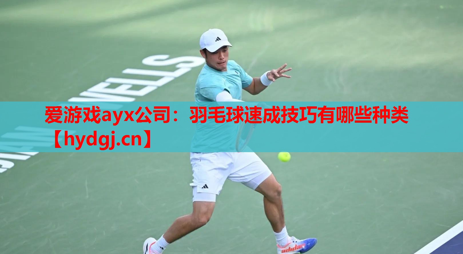 爱游戏ayx公司：羽毛球速成技巧有哪些种类